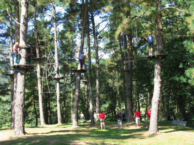 Grupo de personas en parque de árboles